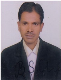 Vice President Jr.